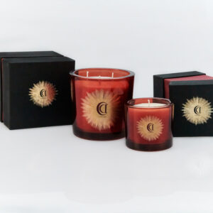 4 Elements - FOGO| Amber & Frankincense - Image 3